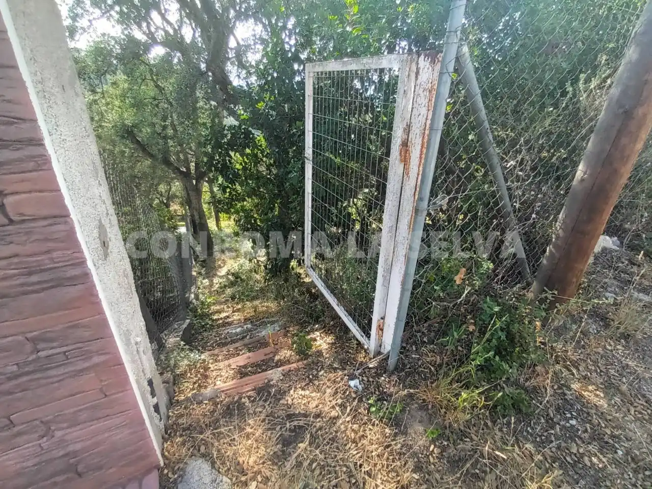 Terrenys i solars en venda a Montbarbat, imagen 9
