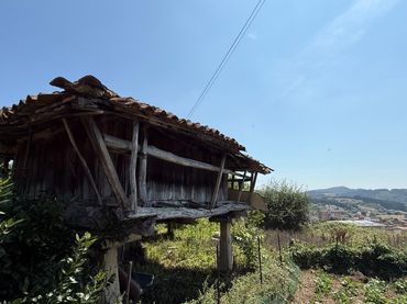 Lands and plots for sale in Camino de la Luz 136