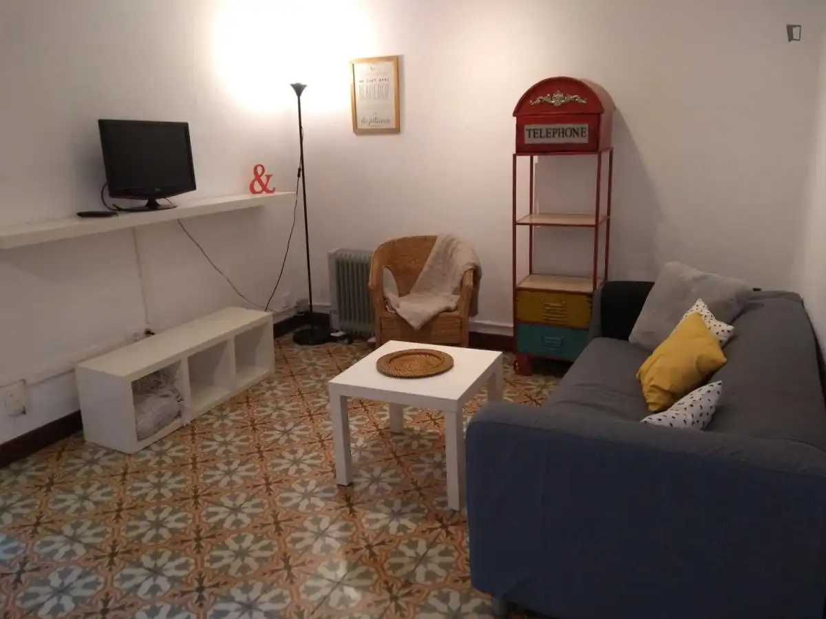 Sala d'estar de Apartament per a compartir en Barcelona amb Moblat, Forn i Rentadora