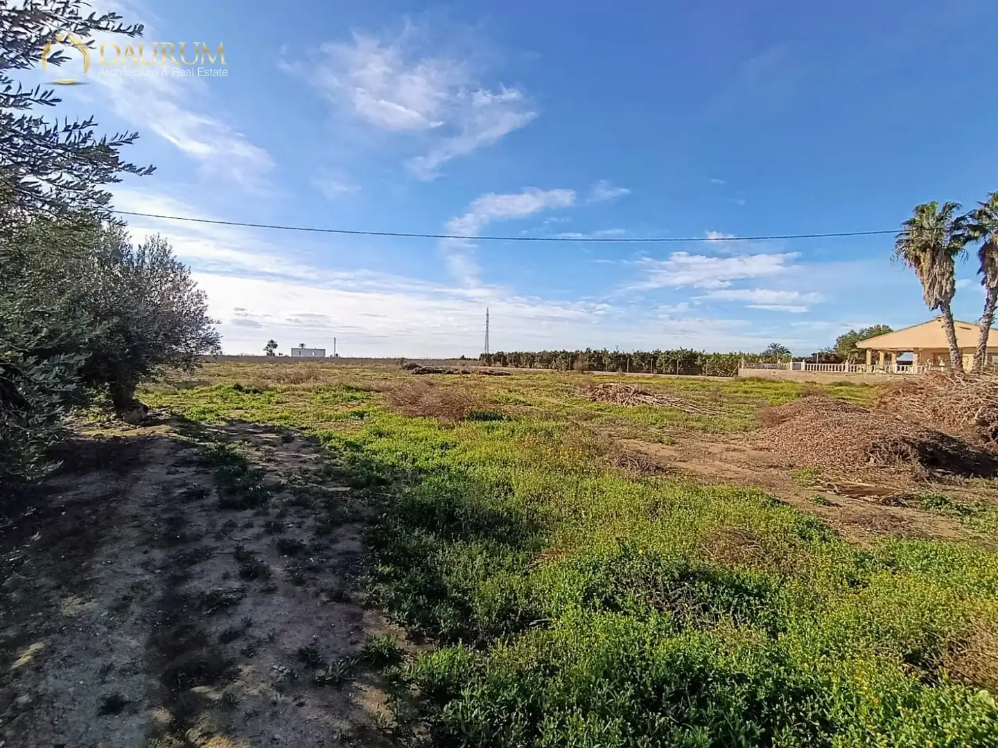 Casa o xalet en venda en Elche / Elx amb Aire condicionat i Terrassa