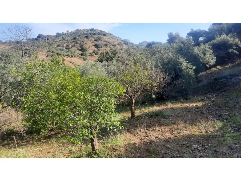 Terrenos y solares en venta en Almogía, imagen 28