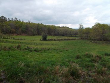 Rural land for sale in San Roque - As Fontiñas