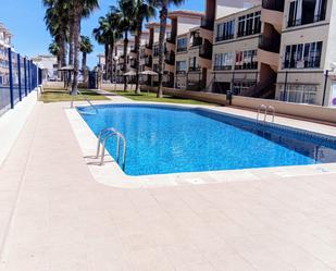 Piscina de Pis de lloguer en Orihuela amb Aire condicionat, Calefacció i Terrassa