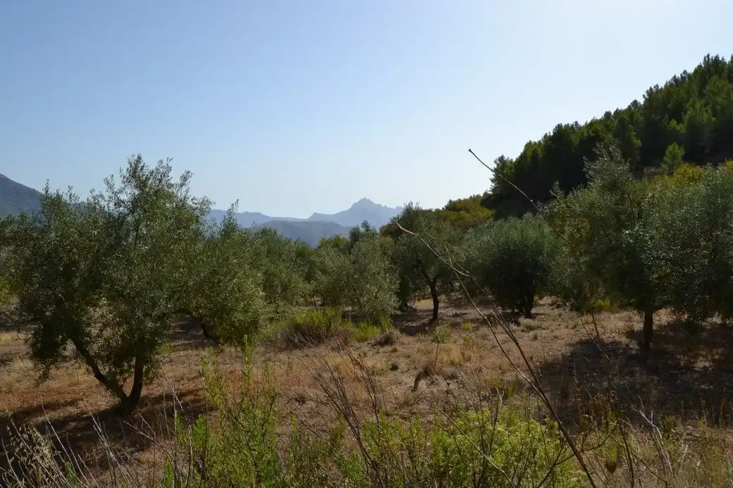 Grundstücke und Bauplätze zum Verkauf in El Castell de Guadalest, imagen 4