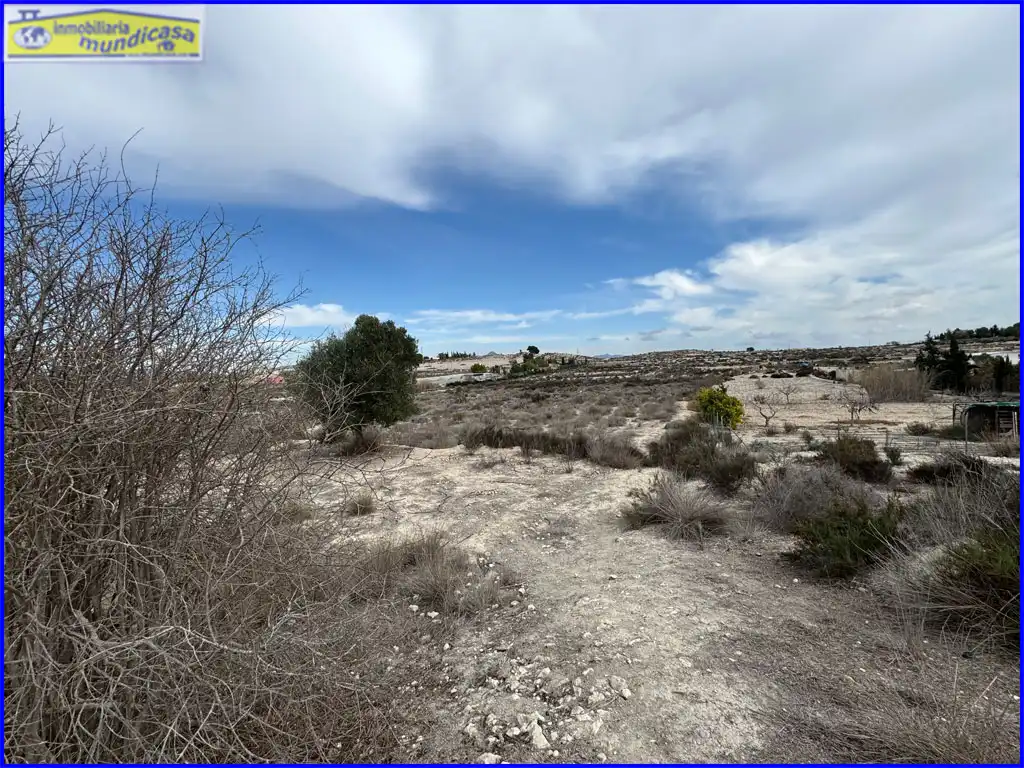Country homes for sale in Fortuna