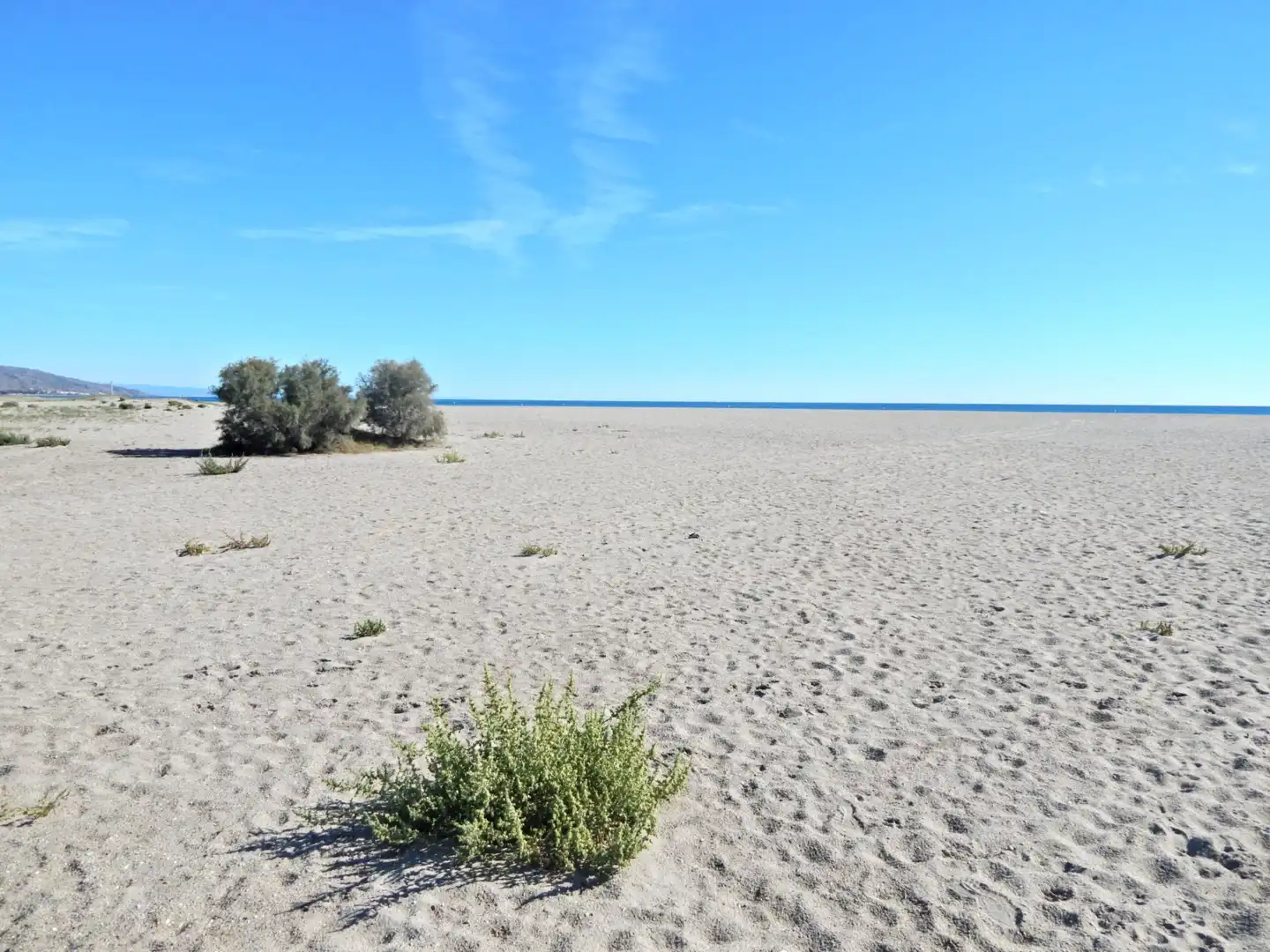 Lands and plots for sale in ALBARDEROS, imagen 15