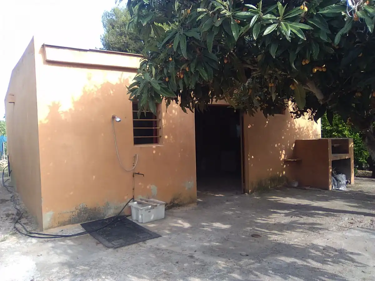 Vista exterior de Finca rústica en venta en Sagunto / Sagunt