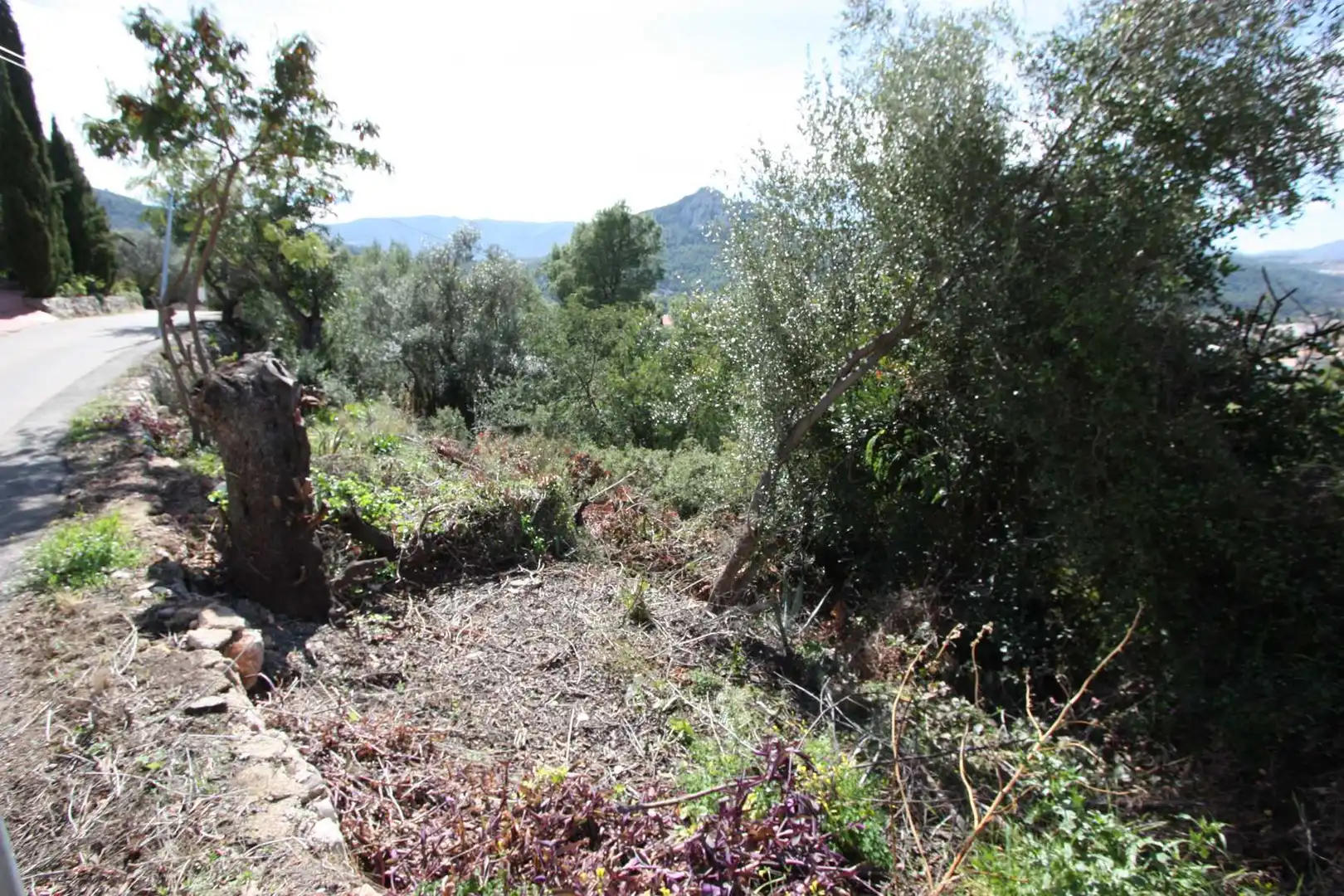 Residential land for sale in Orba, imagen 9