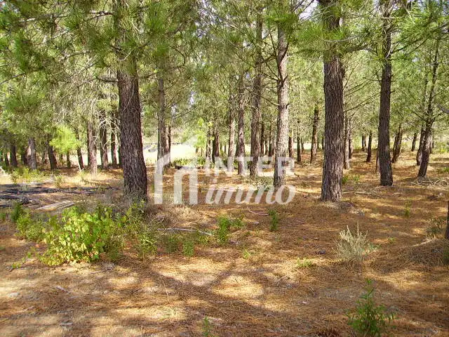 Terreny residencial en venda a Polígono Butaros 181, imagen 14