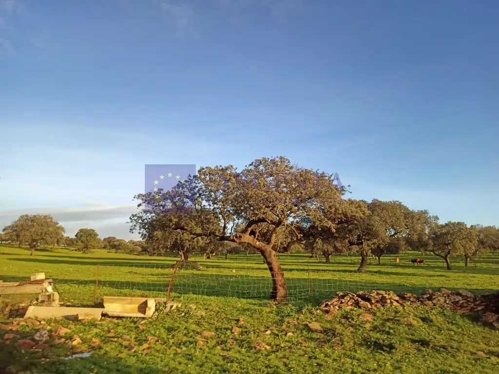 Casa o xalet en venda a Oeste