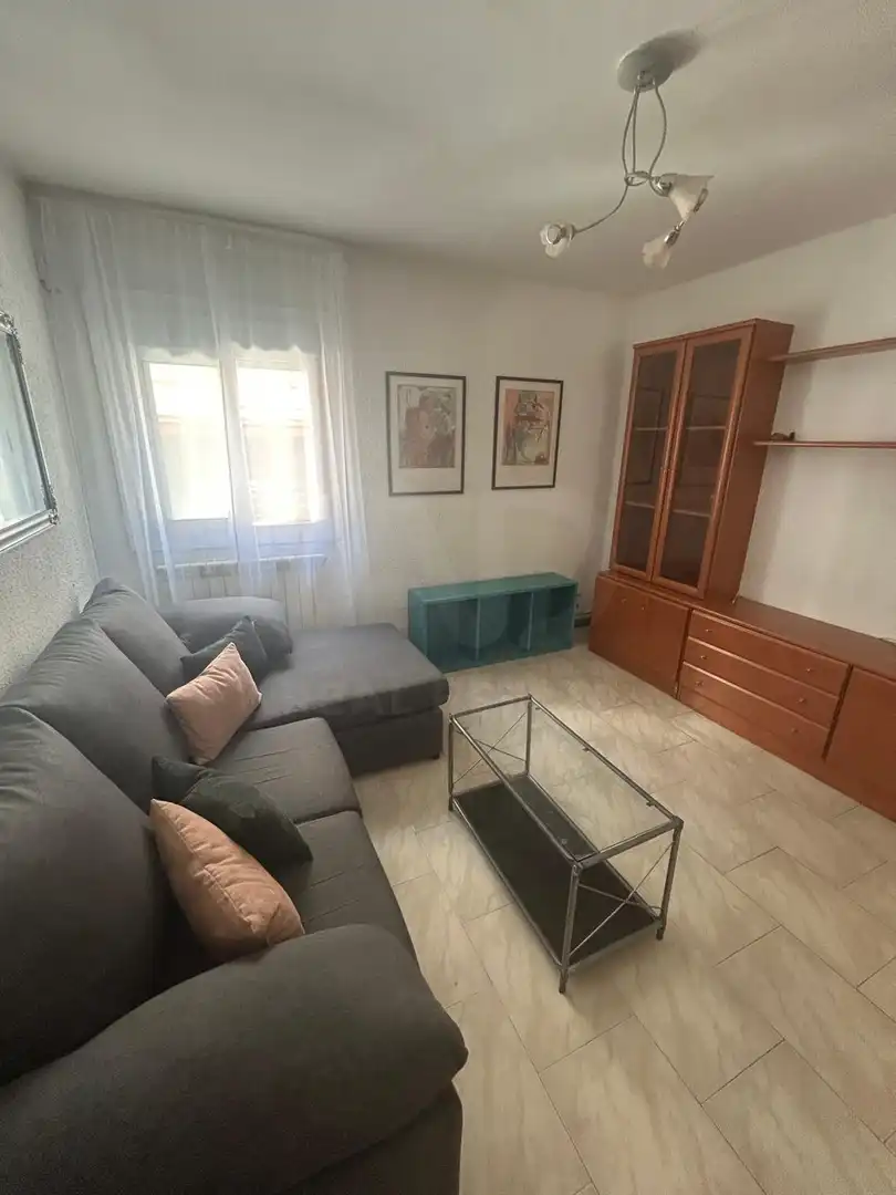 Sala d'estar de Pis de lloguer en León Capital  amb Calefacció