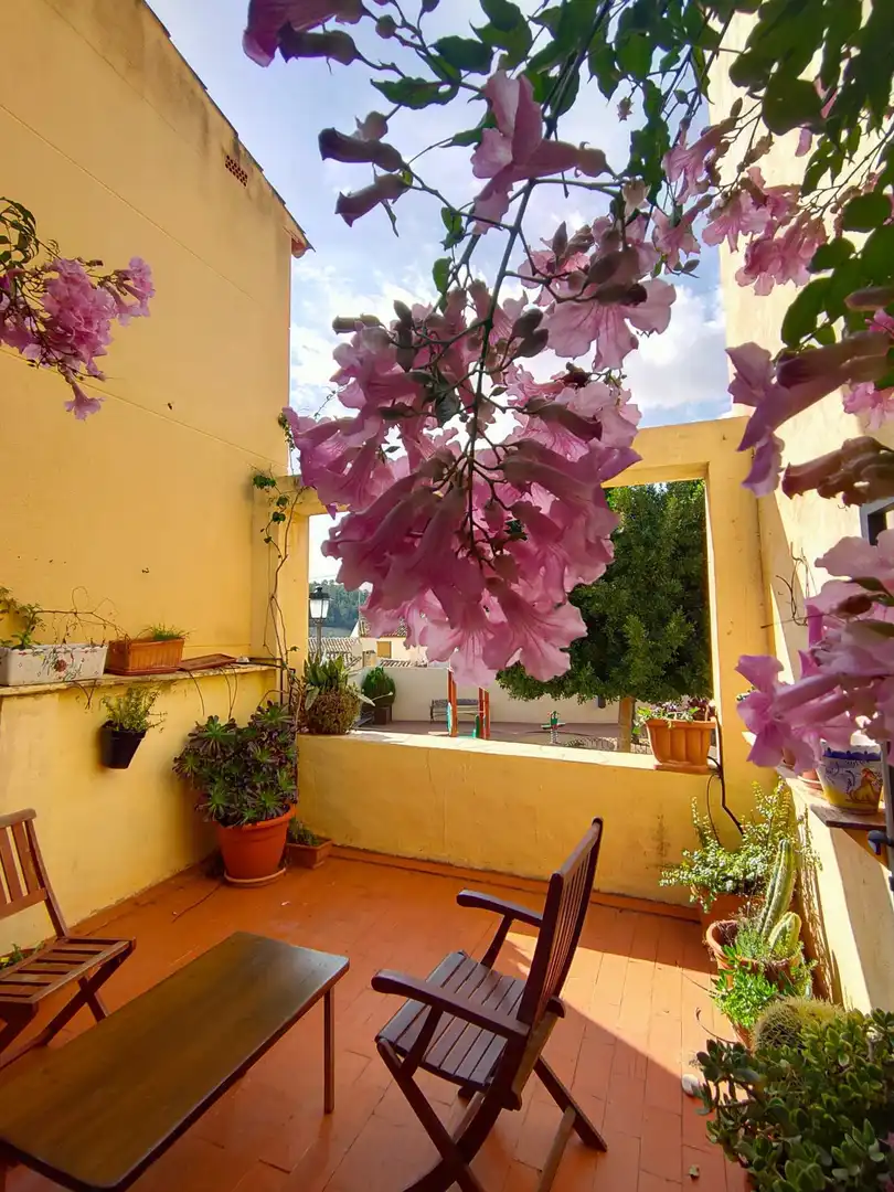 Casa rústica amb jardí en venda a Casco urbano, imagen 32