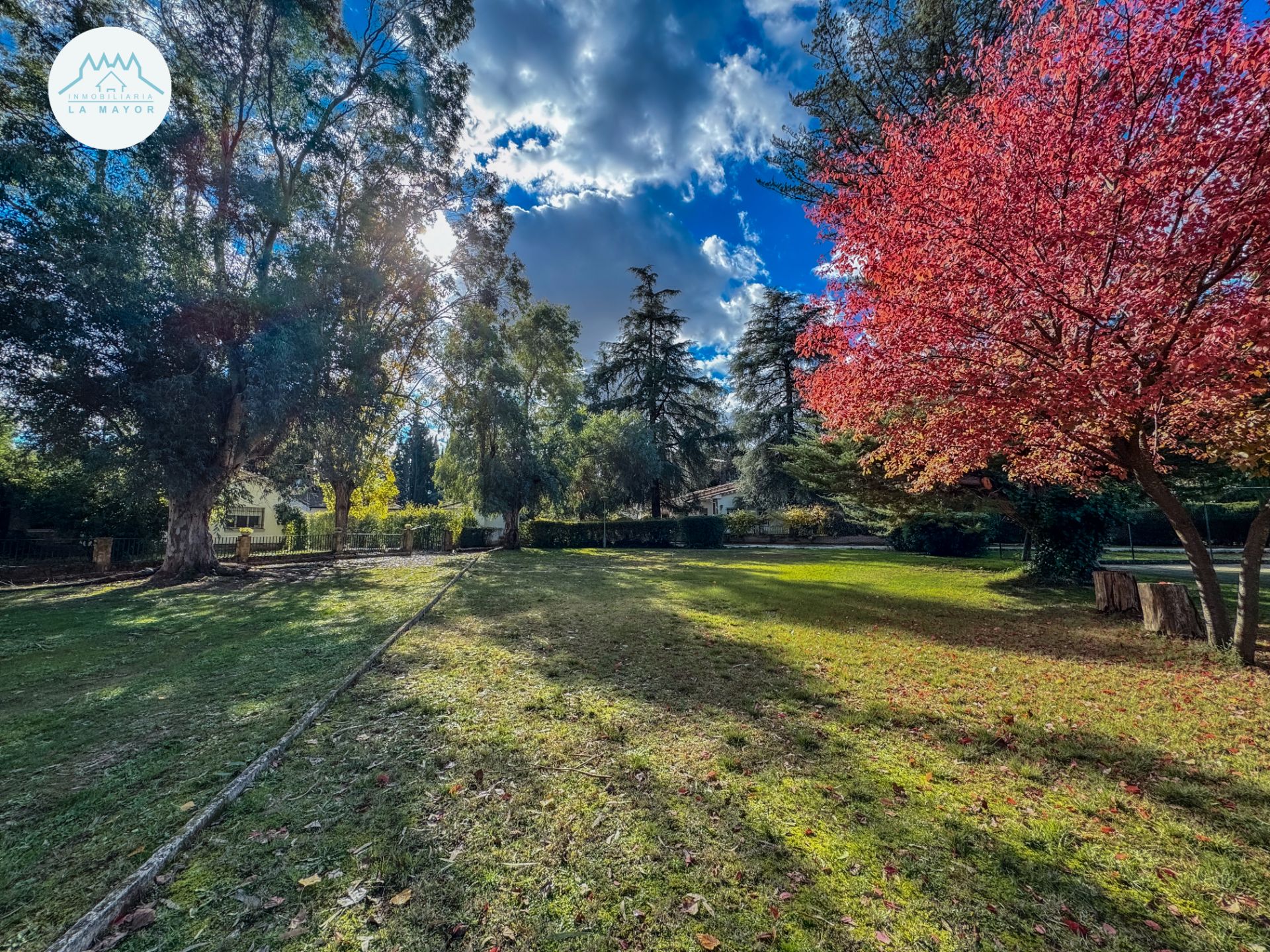 Garden of House or chalet for sale in Piedrabuena  with Heating, Private garden and Terrace