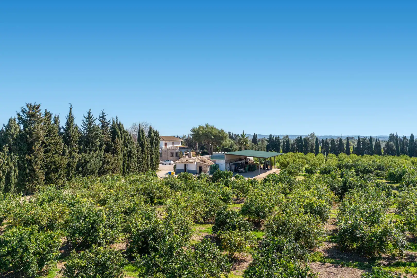 Finca rústica en venda en Lloseta amb Aire condicionat, Calefacció i Parquet
