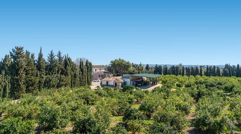 Foto 3 de Finca rústica en venta en Lloseta, Illes Balears