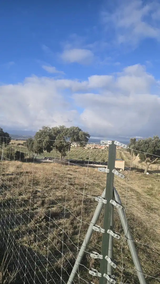 Rustikales Grundstück zum Verkauf in Calle Camino del Palacio 11, imagen 10