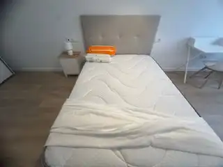 Dormitori de Apartament de lloguer en León Capital  amb Calefacció, Parquet i Terrassa