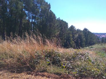 Terreny residencial en venda a O Carballiño