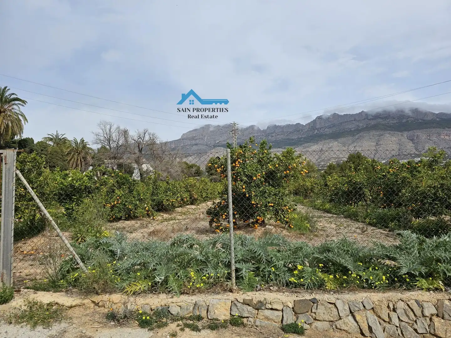 Rural land for sale in Altea ciudad, imagen 14