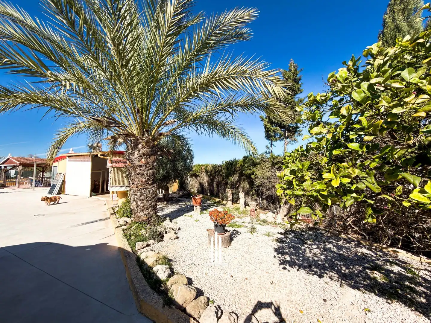 Jardín de Casa o chalet en venta en Elche / Elx con Aire acondicionado, Calefacción y Terraza