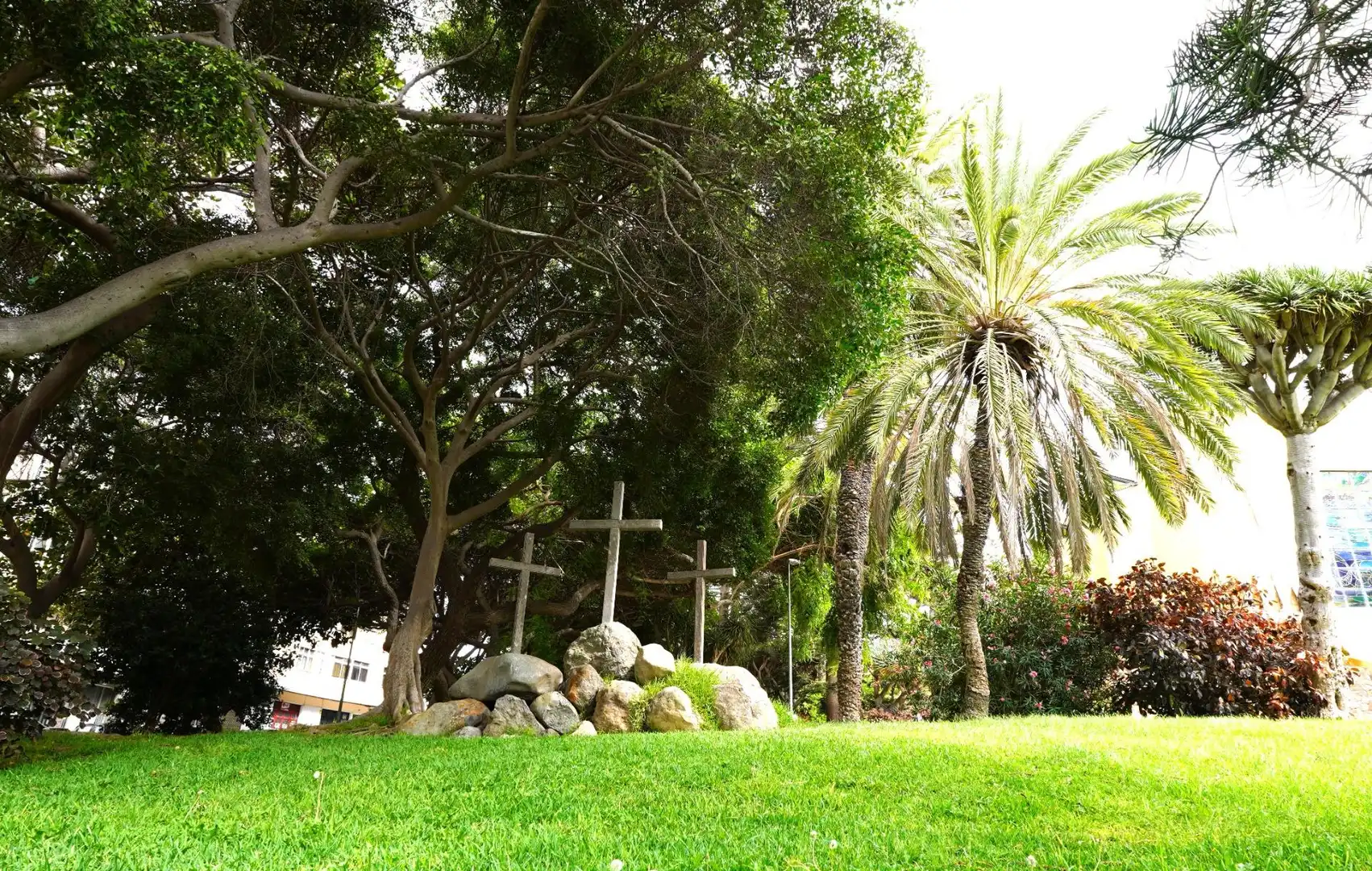 Jardí de Pis en venda en Las Palmas de Gran Canaria amb Traster