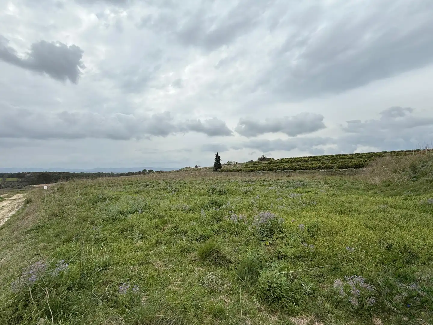 Terreny rústic en venda a La Pobla del Duc, imagen 4