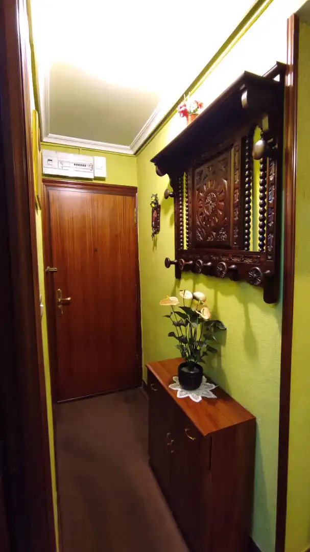 Wohnung zum Verkauf in Zaldibar mit Möbliert