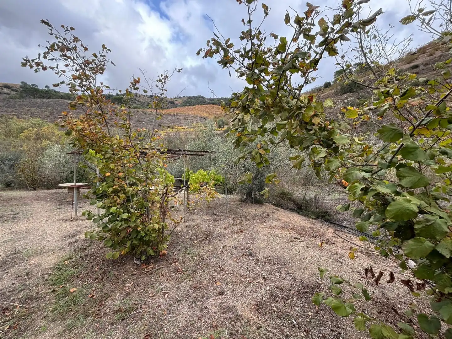 Terreno rústico en venta en Porrera, imagen 29