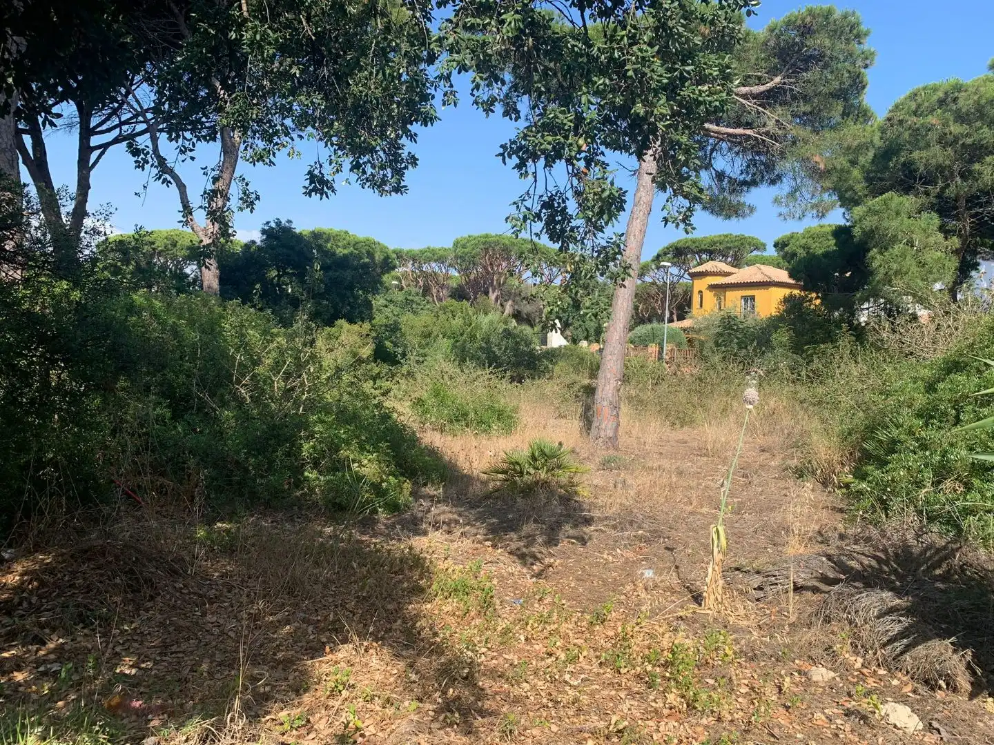 Residential zum Verkauf in Chiclana de la Frontera