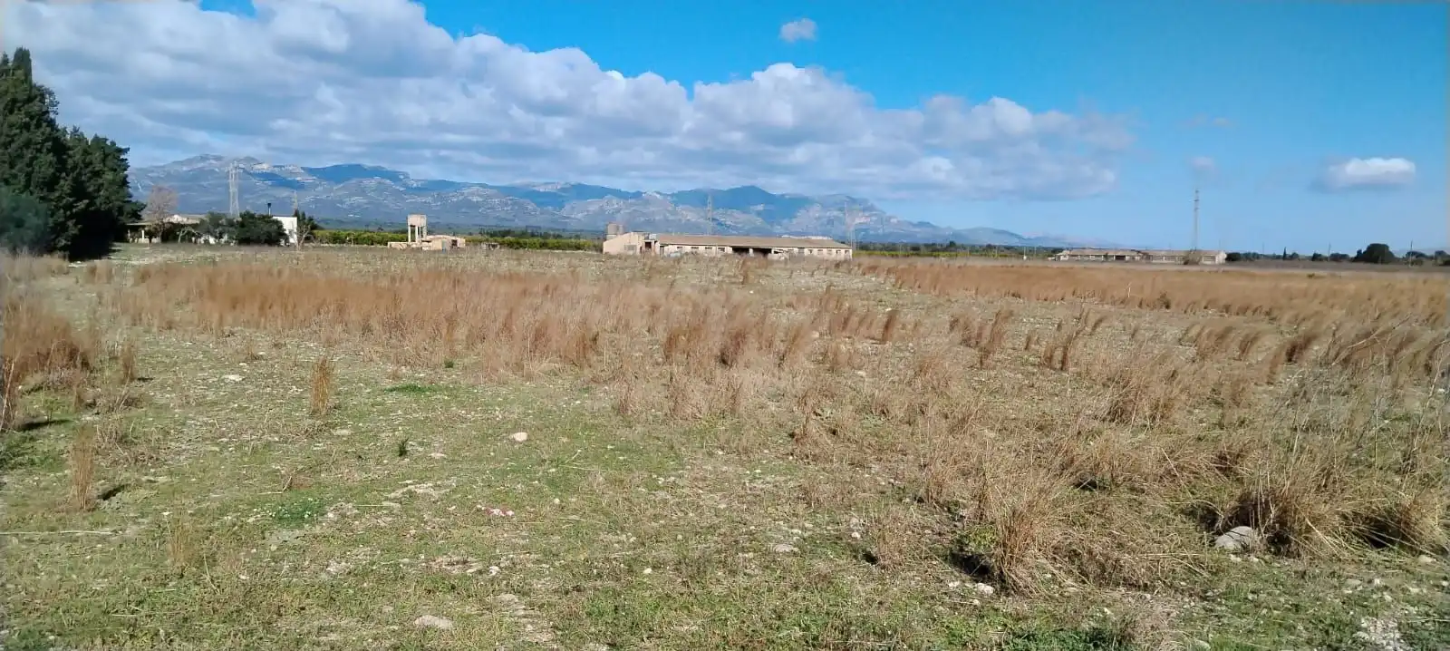 Terreny rústic en venda a Ulldecona, imagen 40