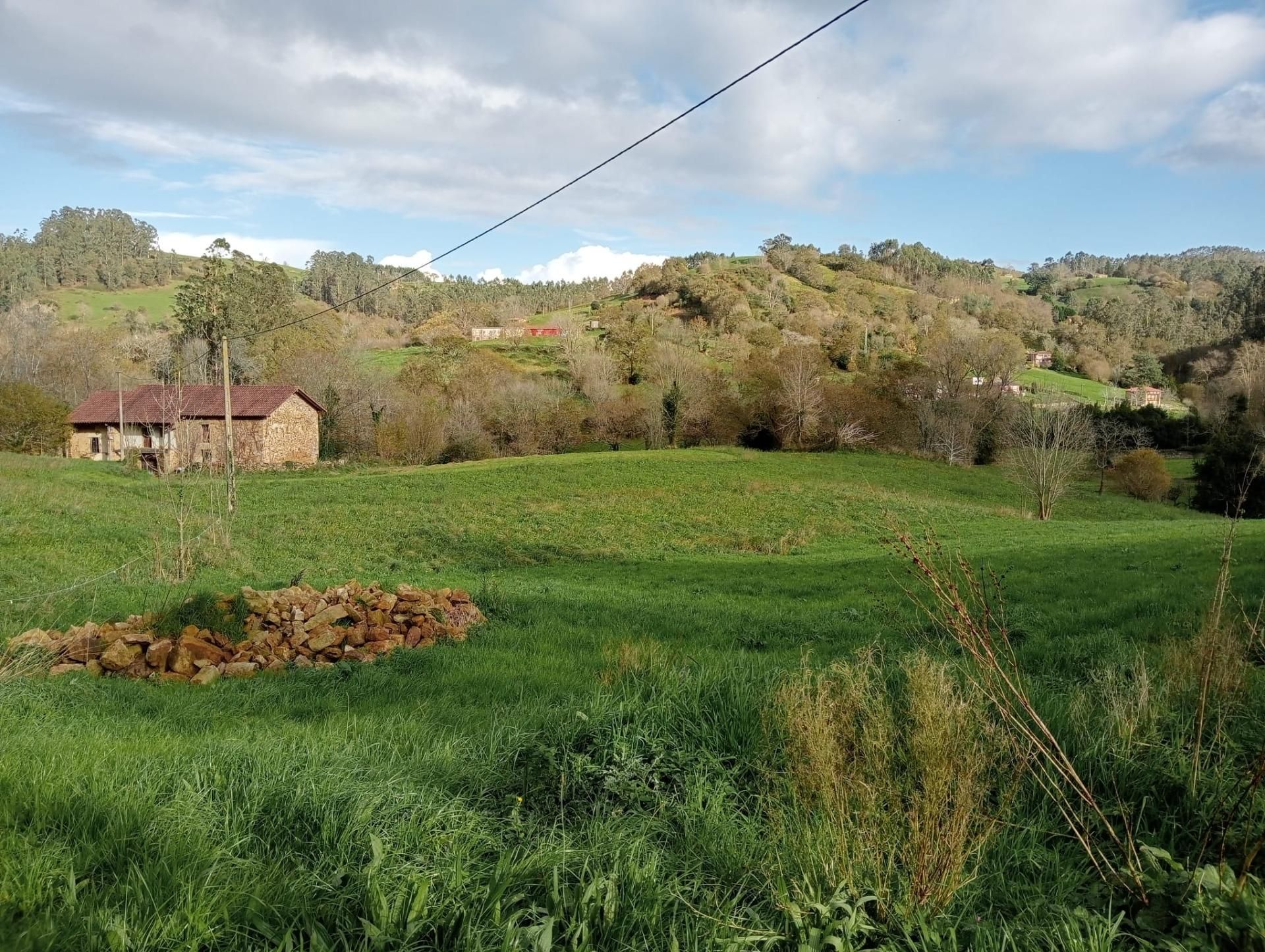 Casa o xalet en venda en Solórzano amb Jardí privat, Terrassa i Balcó