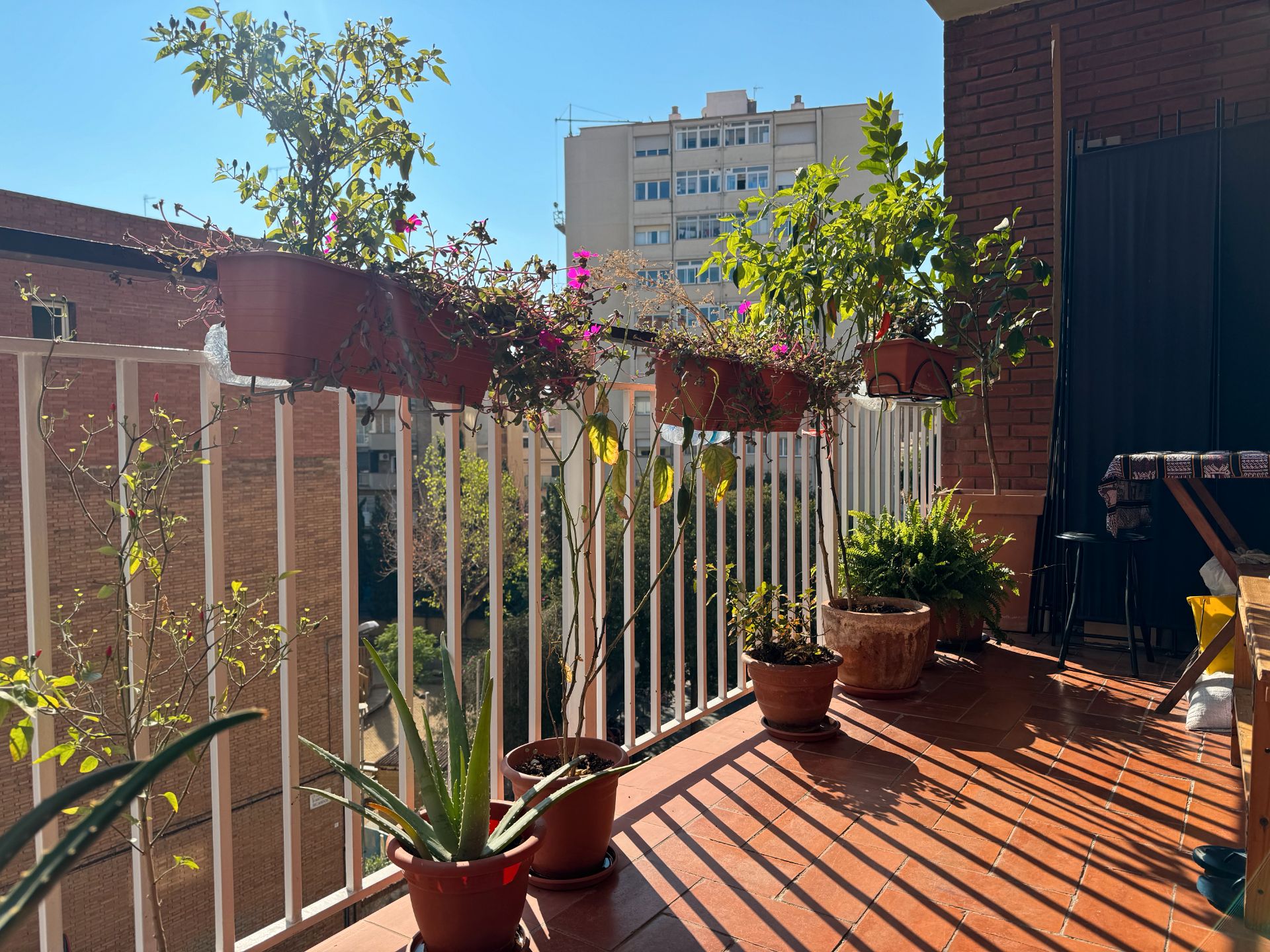 Pis en venda a Carrer Antonio Ricardos, La Sagrera, Sant Andreu