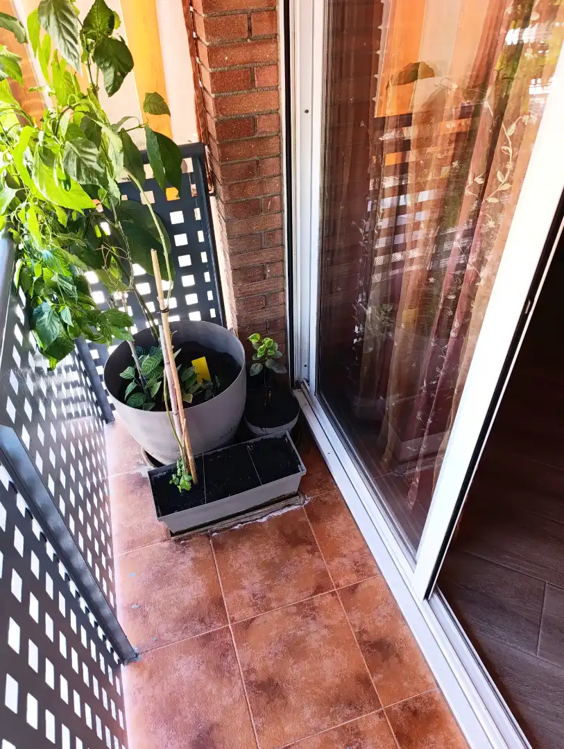 Appartement avec terrasse à vendre à Calella, imagen 6