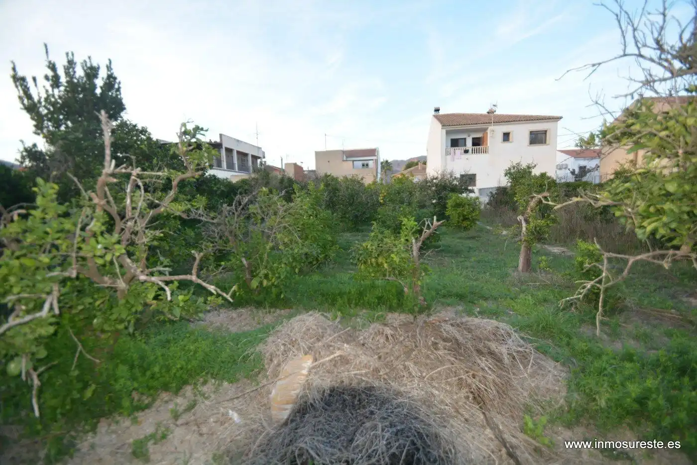 Casa o xalet en venda en Orihuela amb Terrassa