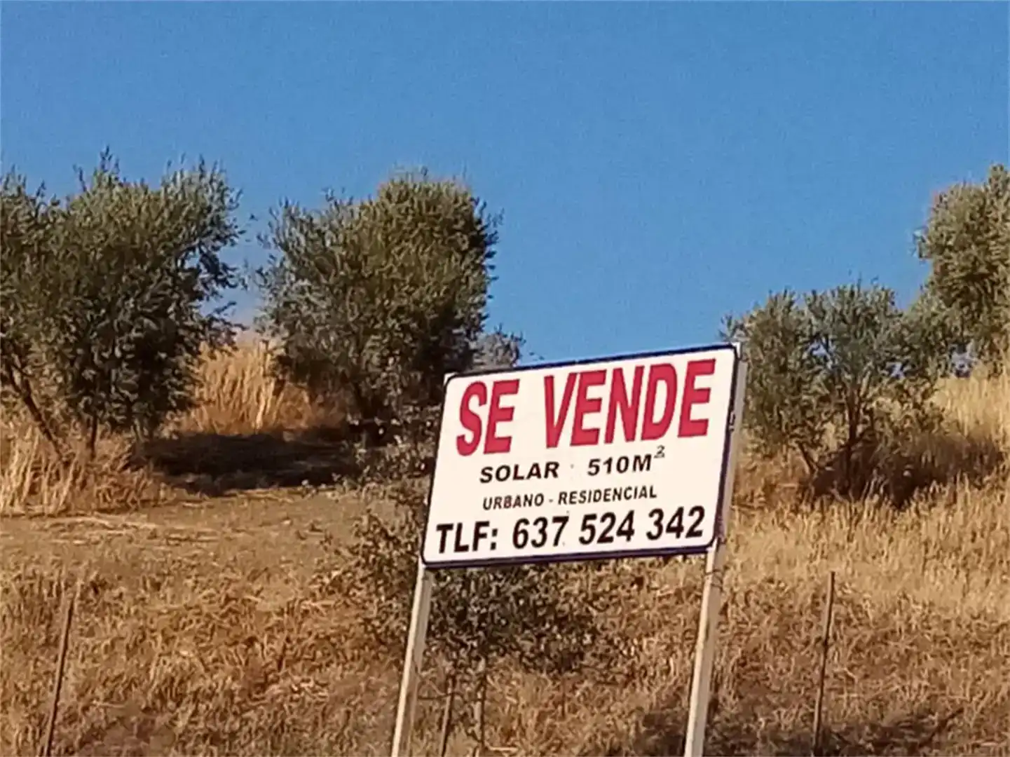 Land for sale in Algámitas