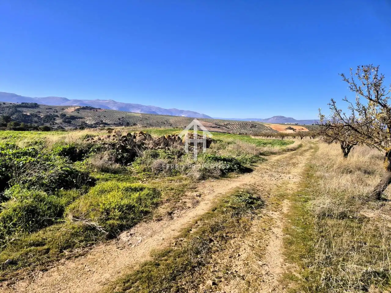 Terreni e lotti in vendita a Alhama de Granada, imagen 15