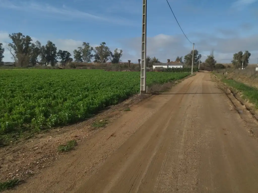 Terreno rustico in vendita a Mengabril, imagen 7