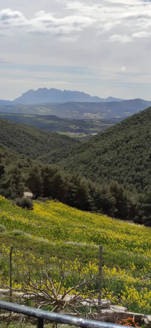 Wohnung zur Miete in Sant Mateu de Bages mit Möbliert