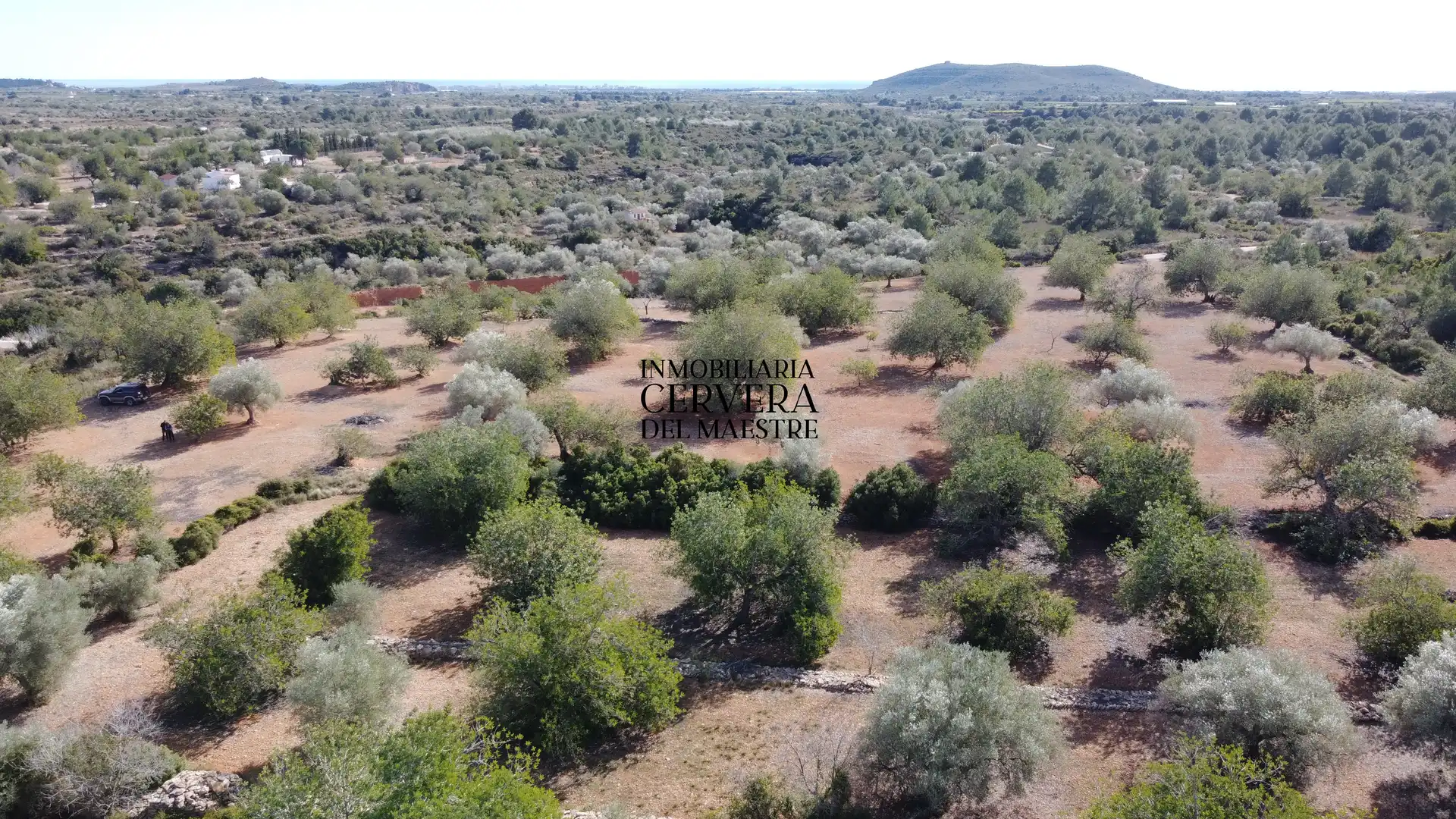 Terreno rustico in vendita a Partidas de interior - Zona Rústica, imagen 45