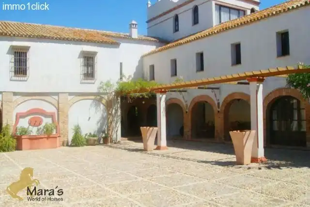 Business premises for sale in Carmona, imagen 4