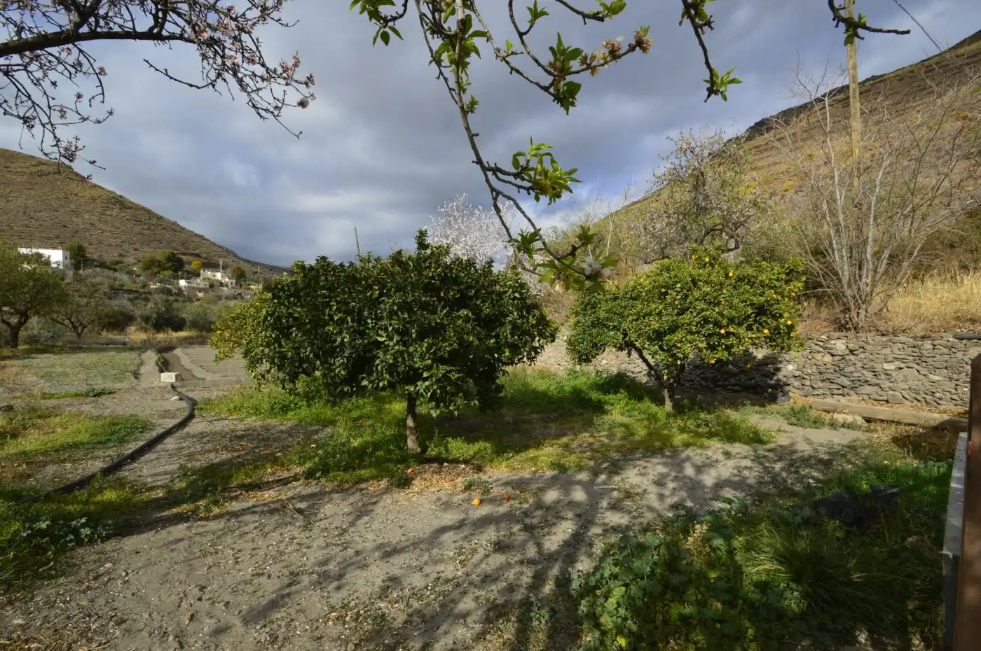 Finca rústica en venta en Gérgal