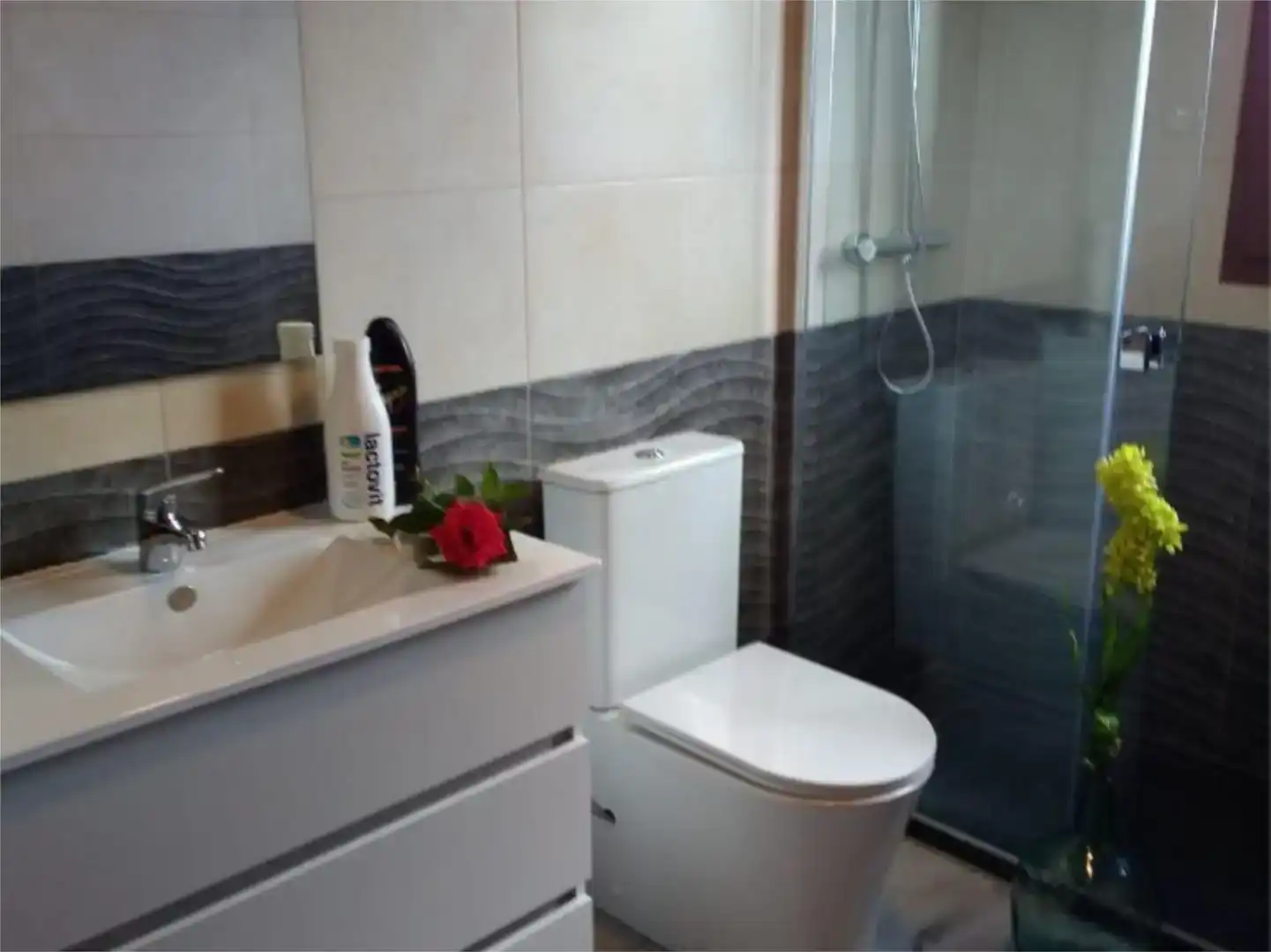 Badezimmer von Wohnung zur Miete in Miranda del Castañar mit Privatgarten, Möbliert und Balkon