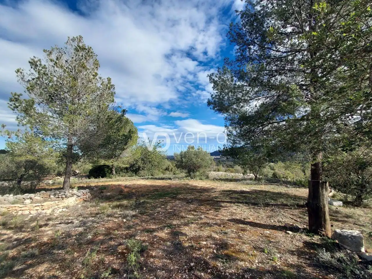 Terreno en venta en Enguera