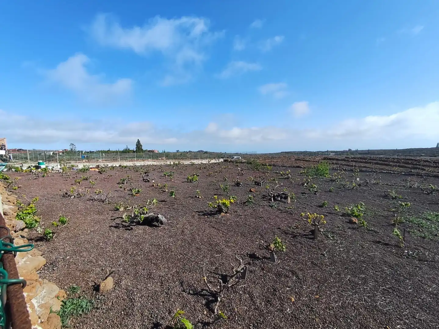 Terreno en venta en Vilaflor de Chasna