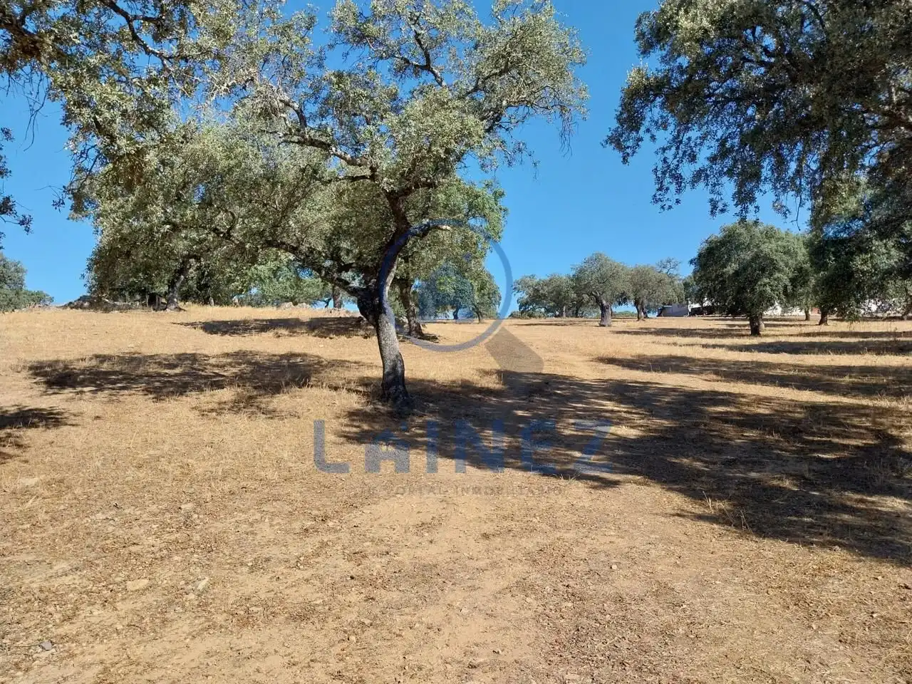 Lands and plots for sale in Fuente Obejuna, imagen 31