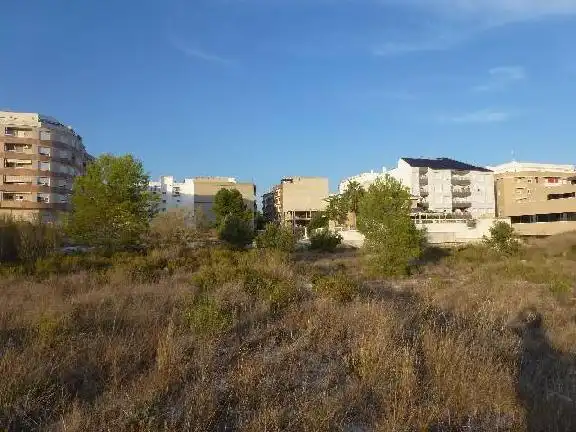 Land for sale in L'Olleria