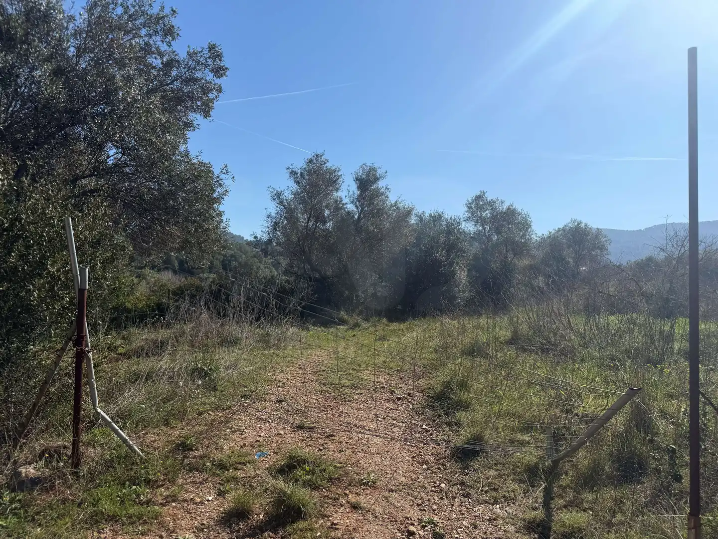 Rural land for sale in Castellví de Rosanes, imagen 6