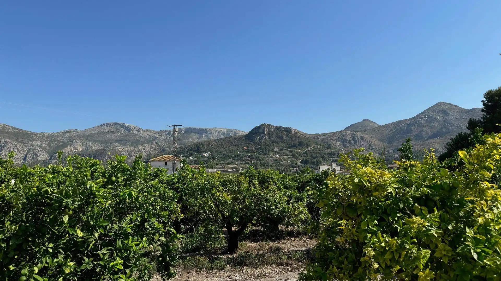 Chalet con jardín en venta en Pego, imagen 7