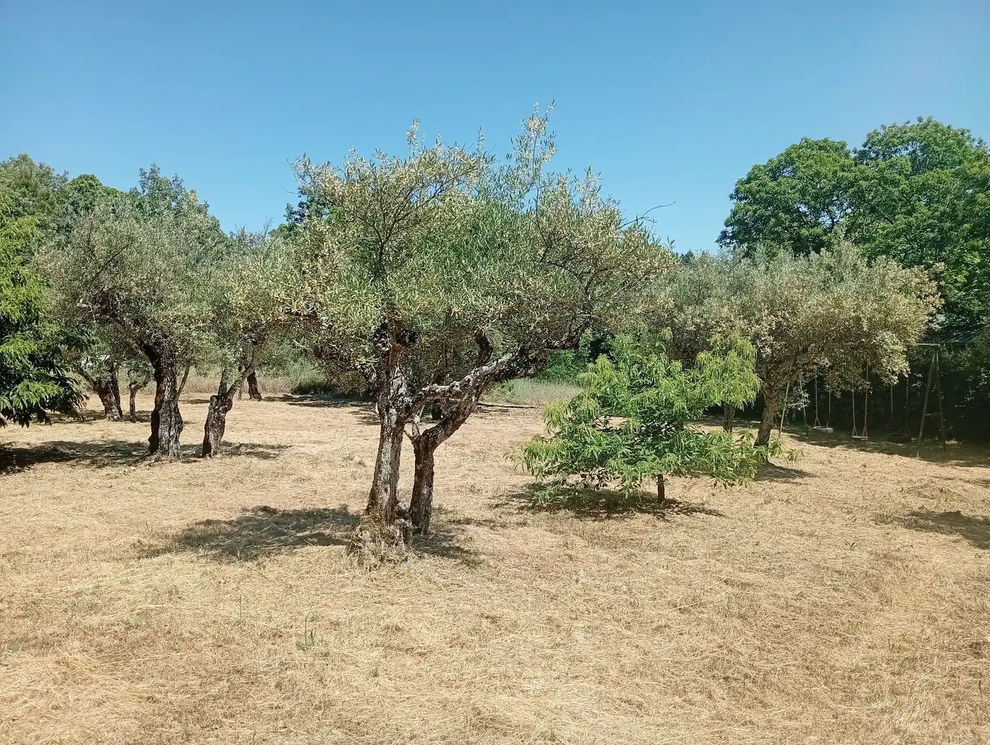 Terreni e lotti in vendita a Villanueva de la Vera, imagen 29