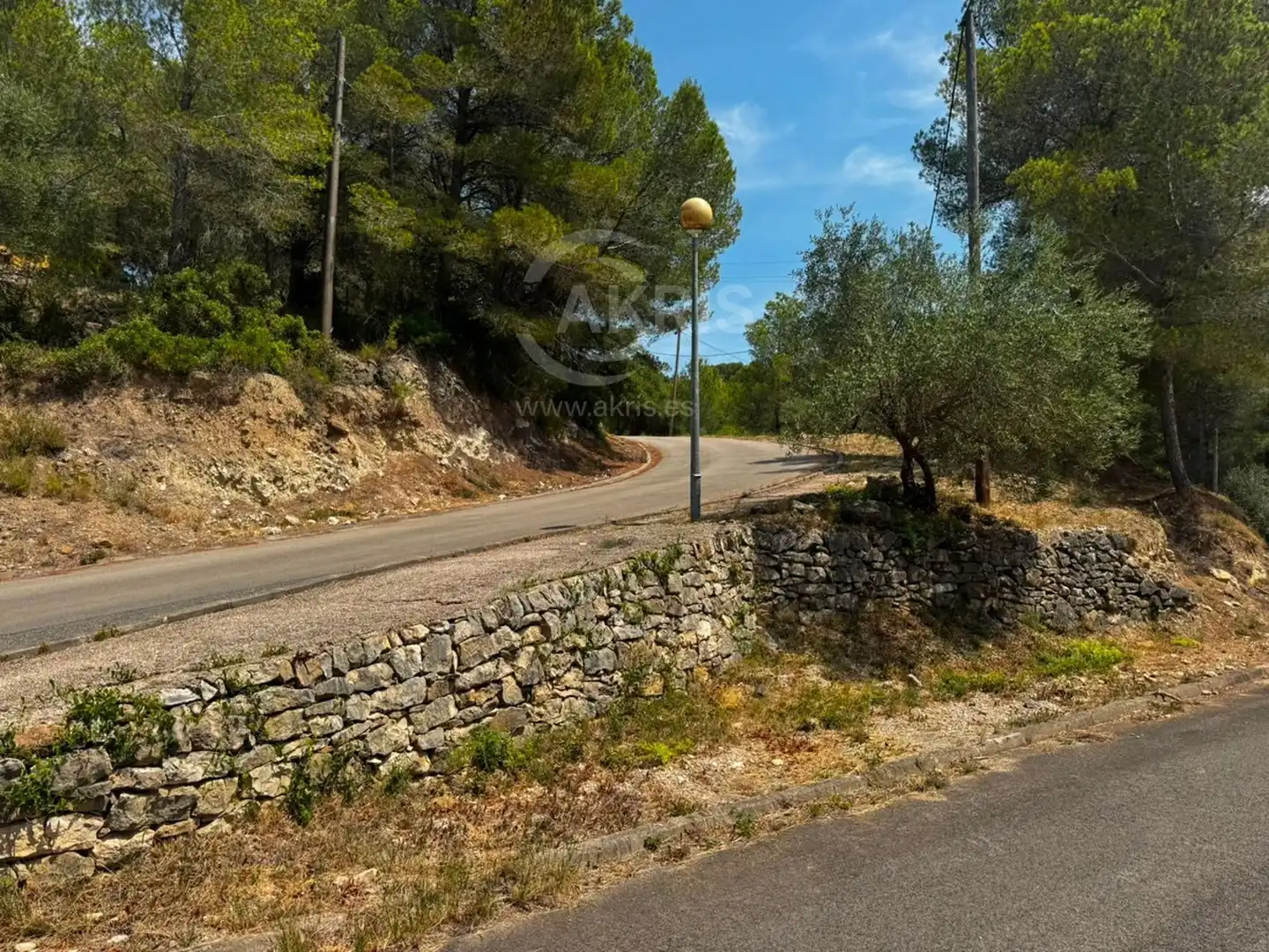 Terreny rústic en venda a Torre Gassia, imagen 5